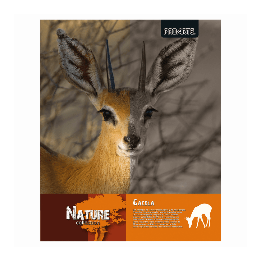 Cuaderno Universitario Proarte 100 hojas 7mm  D/espiral T/extra Dura Nature3