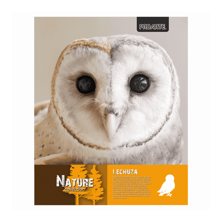 Cuaderno Universitario Proarte 100 hojas 7mm  D/espiral T/extra Dura Nature4