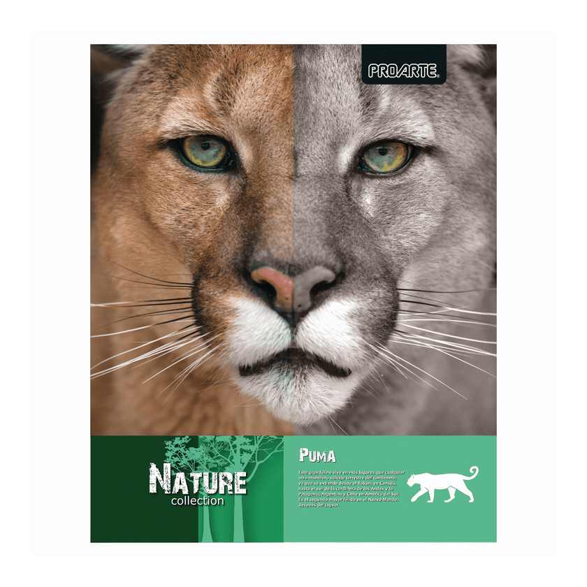 Cuaderno Universitario Proarte 100 hojas 7mm  D/espiral T/extra Dura Nature5