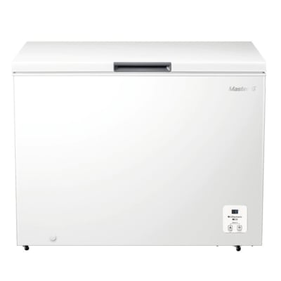 CONGELADOR 300L MASTER-G SILVER1
