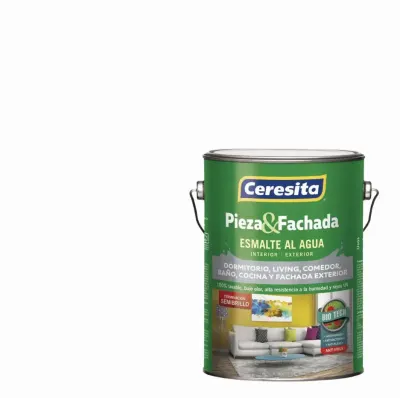 PINTURA PIEZA Y FACHADA SB BLANGO GLN1