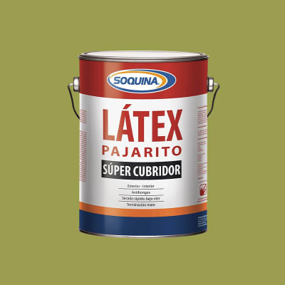 LATEX PAJARITO PISTACHO NF 1GL1