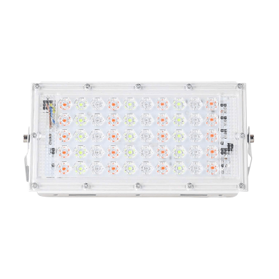 FOCO RGB 50W 220V1