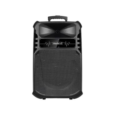 PARLANTE 15'' CON TRIPODE MASTER G1