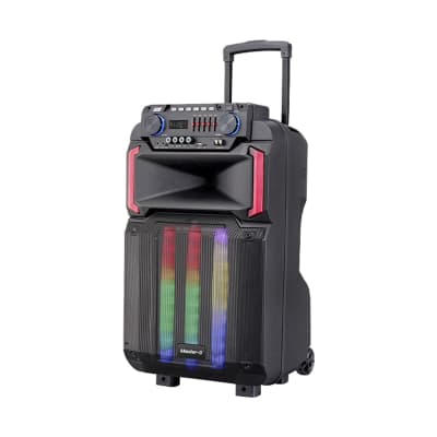 PARLANTE PORTATIL 12'' MASTER G1