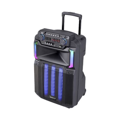 PARLANTE 15'' PORTATIL MASTER G1