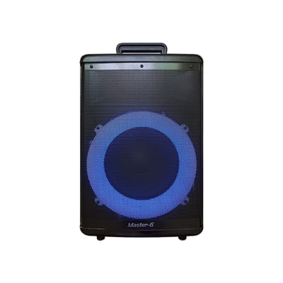 PARLANTE SUBWOOFER 8'' MASTER G1