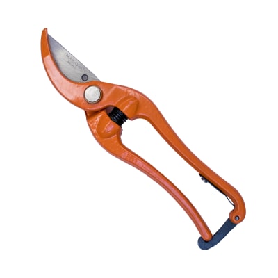 TIJERA PODAR 9 MAKAWA MK-0013 .1