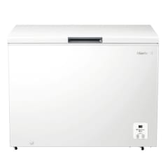 CONGELADOR 300L MASTER-G SILVER