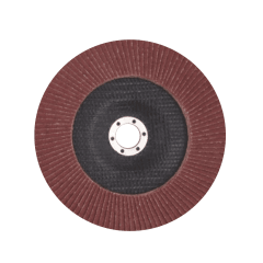 DISCO FLAP 180MMX60DT HOTECHE