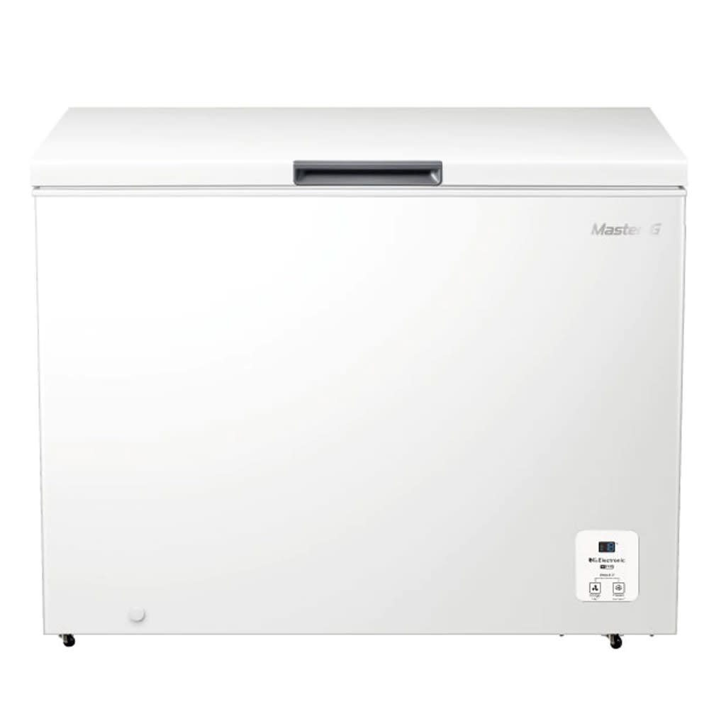 CONGELADOR 300L MASTER-G SILVER 0