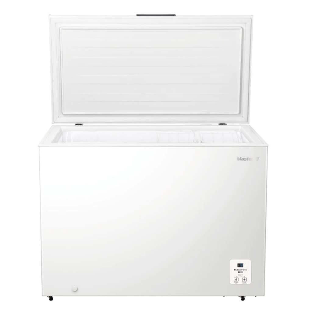 CONGELADOR 300L MASTER-G SILVER2