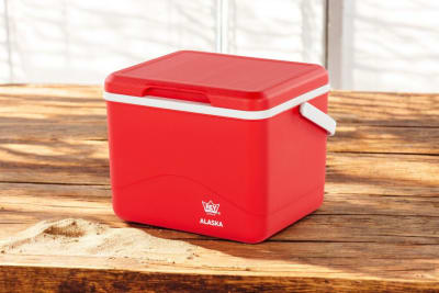 COOLER REY  ALASKA 5L1