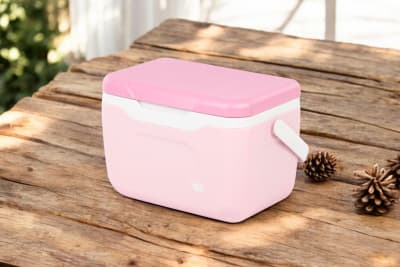 COOLER REY  SNOWBOX 5.5LT1