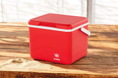 COOLER REY  ALASKA 5L