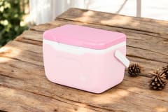 COOLER REY  SNOWBOX 5.5LT