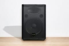 PARLANTE PASIVO FRANCYS PRO DLF-R15