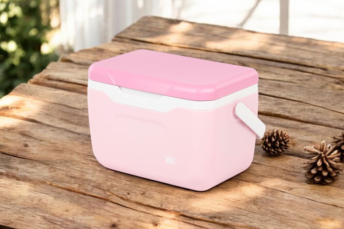COOLER REY  SNOWBOX 5.5LT 0