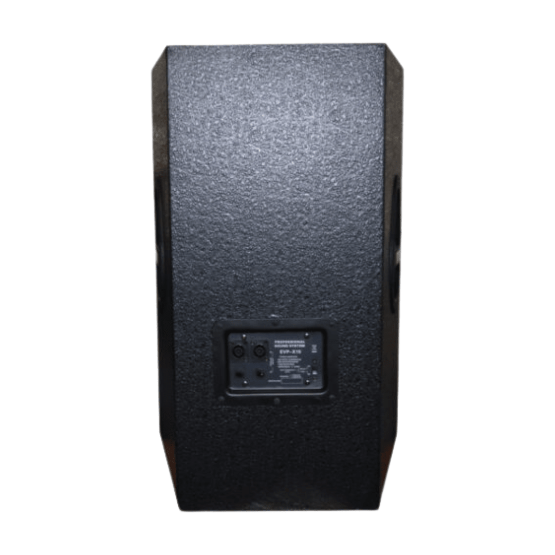 PARLANTE PASIVO FRANCYS PRO DLF-R153