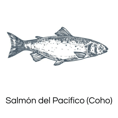 salmon del pacifico