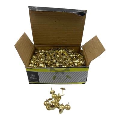 Chinche Dorado1