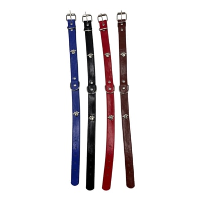 Collar 2 Pata 2.5x52cm 12 pcs Color Aleatorio HX1641