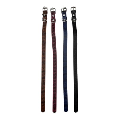 Collar con Estampado 1.5x38cm 12 pcs Color Aleatorio HX1691