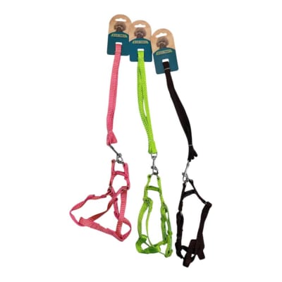 Arne Con Correa 1.5cm Color Aleatorio LH2181