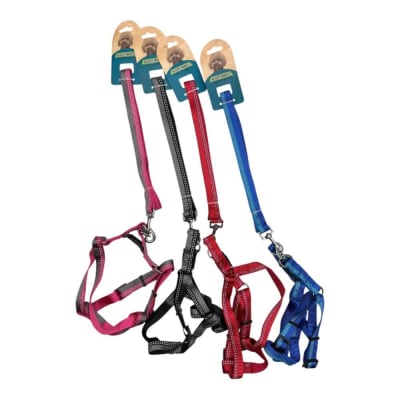 Arne Con Correa 2cm Color Aleatorio LH2291