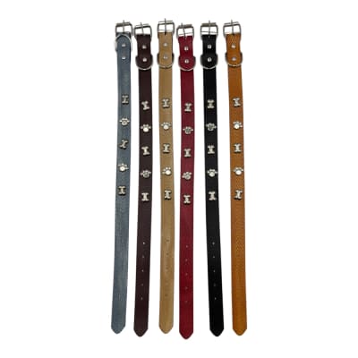 Collar 3 Huesos 2 Patas 2.5x52cm Color Aleatorio LH2461