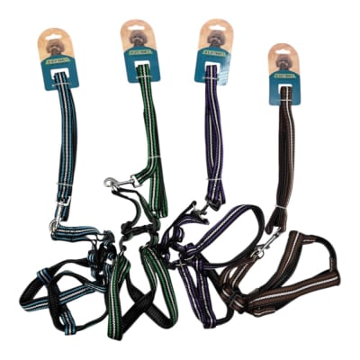 Arne Con Correa 2x150cm Color Aleatorio LH2521