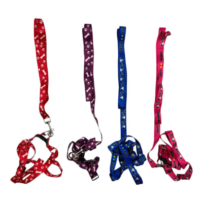 Arne Con Collar 1.5x140cm 12 pcs Color Aleatorio LH2601