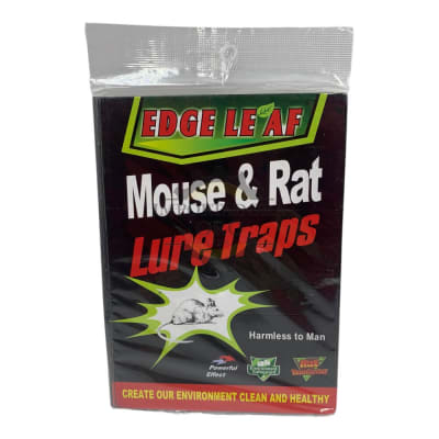 Pegamento para Raton Sl160272