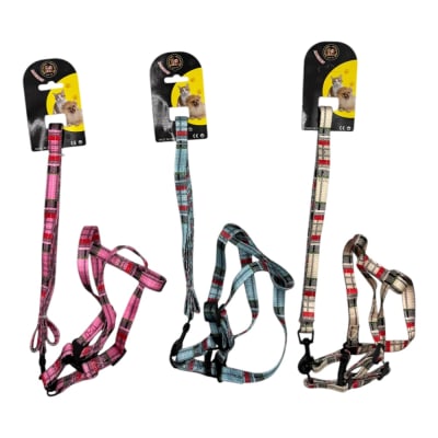 Arne con Collar 1.5x140cm Color Aleatorio XA2661