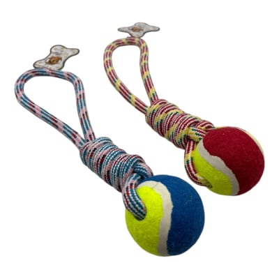 Juguete soga pelota tenis con Manilla 12 pcs Color Aleatorio XRMS0051