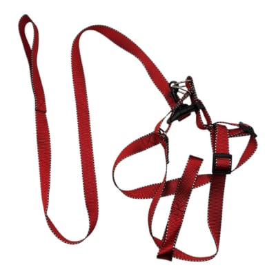 Arne Cinta Color 2.5cm 4 pcs Color Aleatorio ZCXA2411
