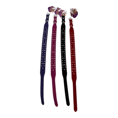 Collar Diamante 3.2x60cm 12 pcs Color Aleatorio ZCXA2531