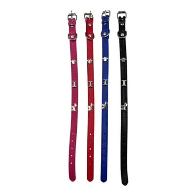 Collar 1.5x36cm Pata Hueso Perro 12 pcs Color Aleatorio ZCXA2971