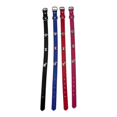 Collar Pata Hueso Perro 2x46cm 12 pcs Color Aleatorio ZCXA2981