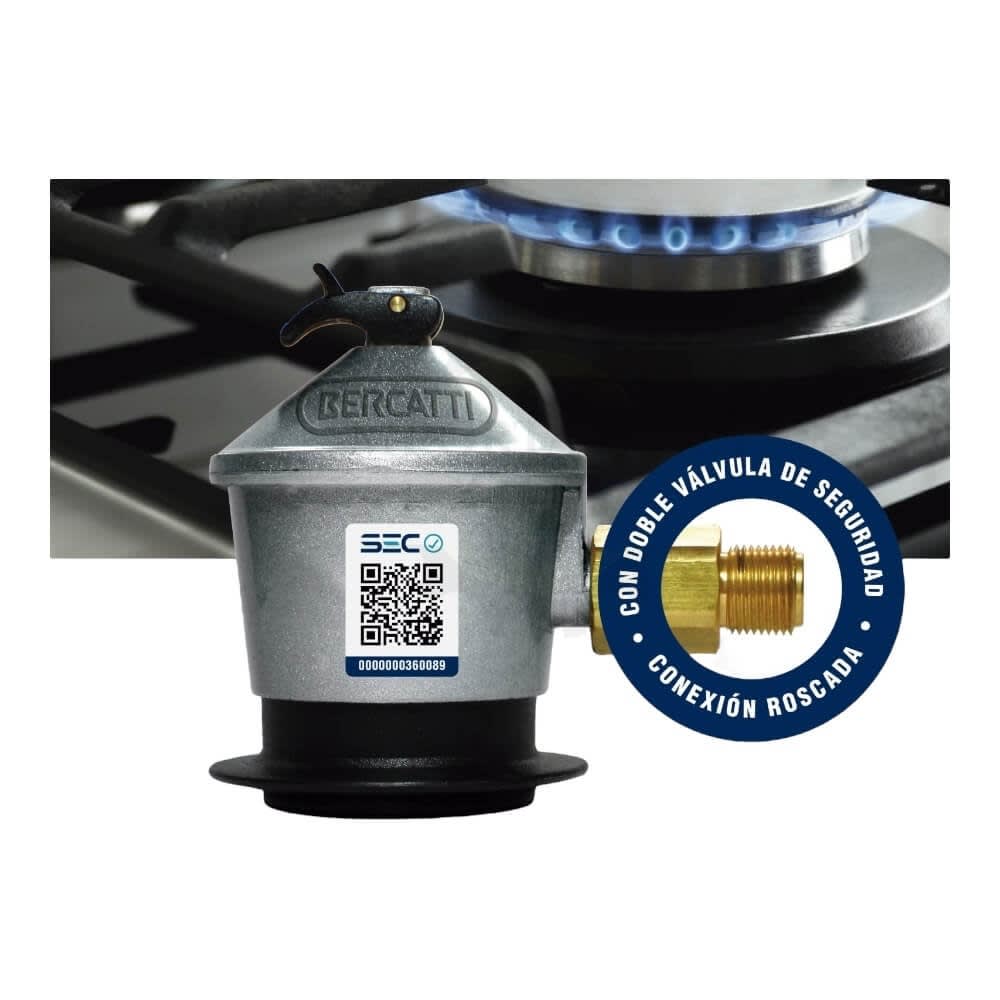 Regulador de gas BG10 1030116822
