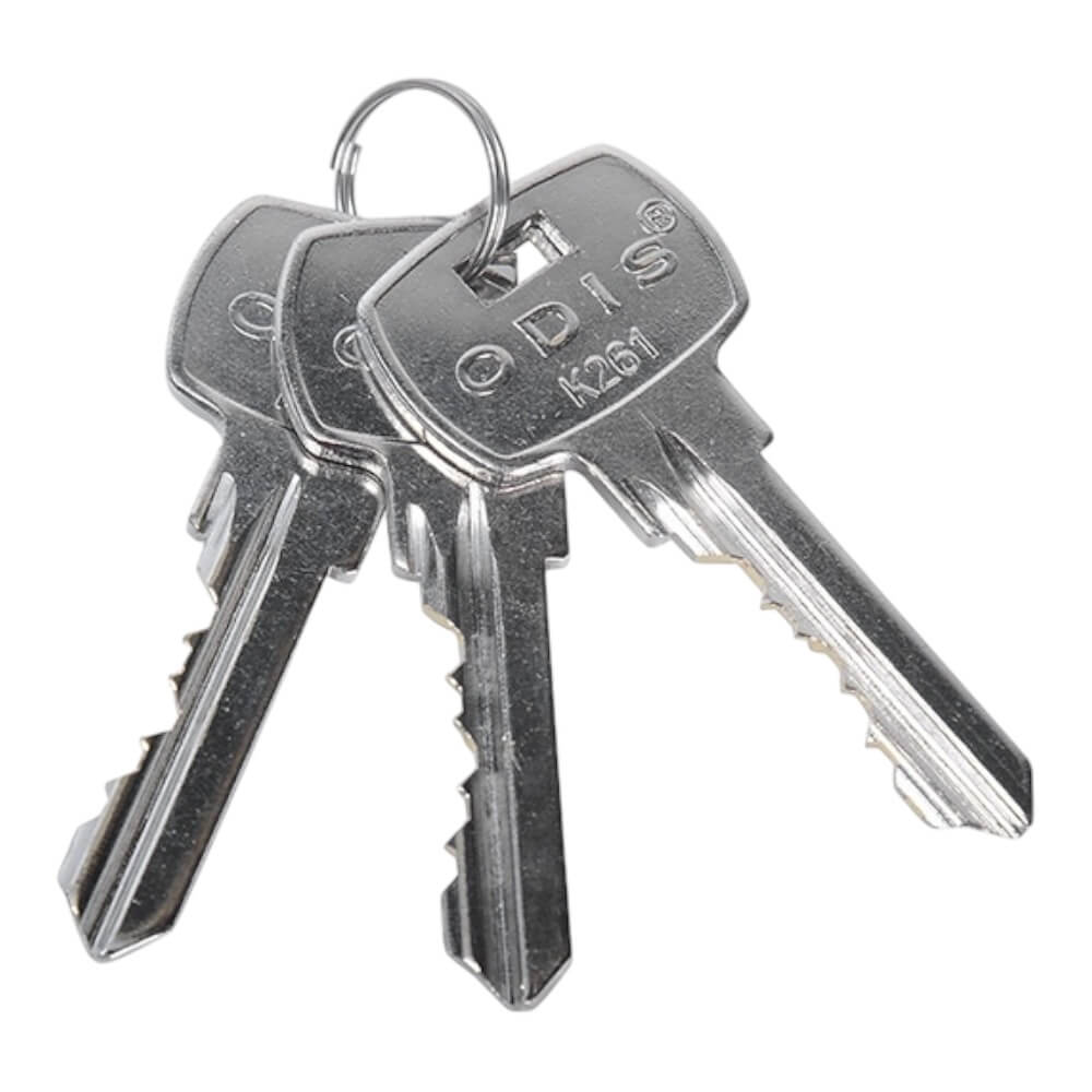 Cerradura Embutir Odis 205 Acceso – Plata CEP00010175