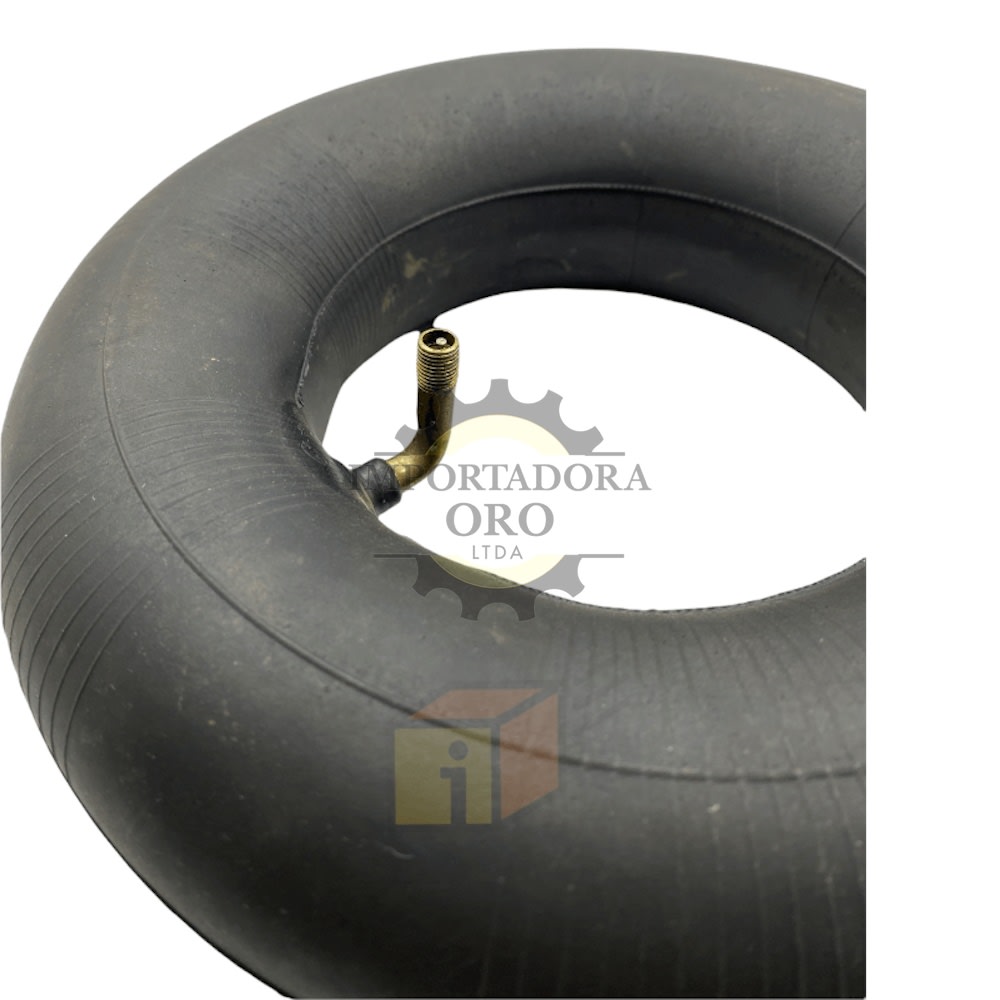 Camara 350-4 Yegua2