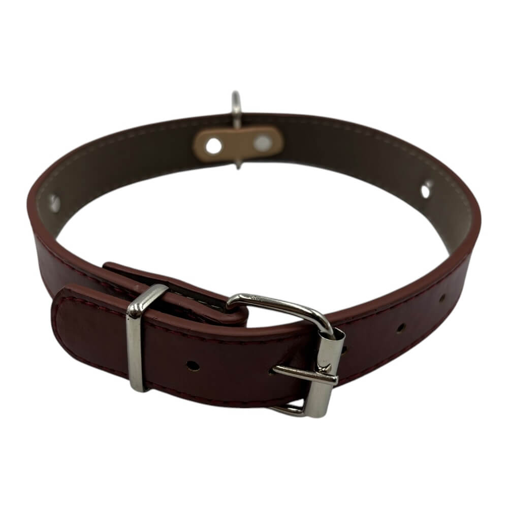 Collar 2 Pata 2.5x52cm 12 pcs Color Aleatorio HX1643