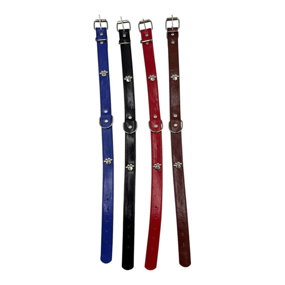 Collar 2 Pata 2.5x52cm 12 pcs Color Aleatorio HX164 0