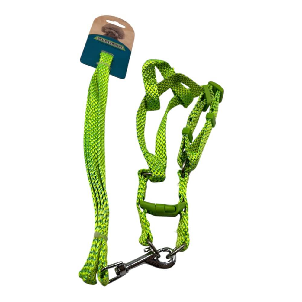 Arne Con Correa 1.5cm Color Aleatorio LH2182