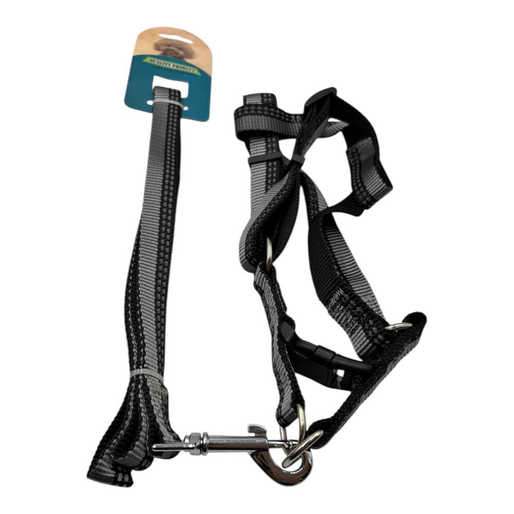 Arne Con Correa 2cm Color Aleatorio LH2292