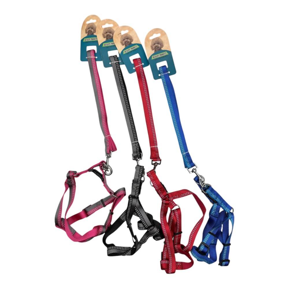 Arne Con Correa 2cm Color Aleatorio LH229 0