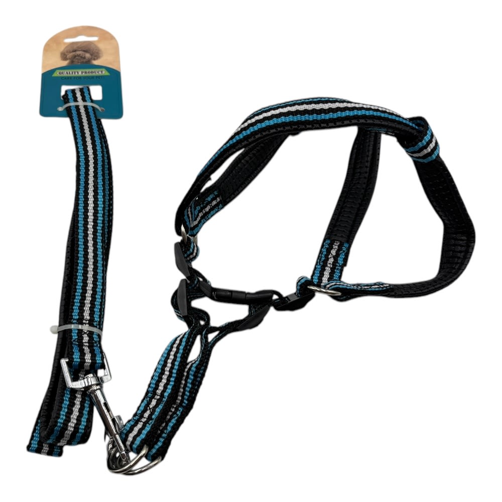 Arne Con Correa 2x150cm Color Aleatorio LH2522