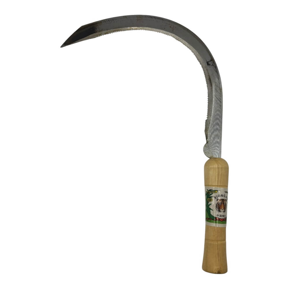 Echona Corta 12