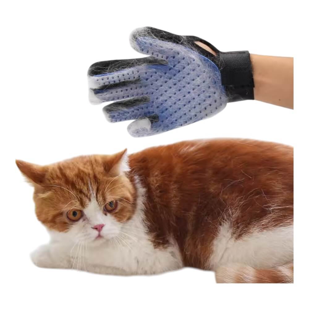 Guante Quita Pelos 12 pcs ZCMS0024